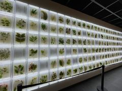 -广东中医药博物馆