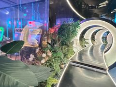 -水之梦(黄浦店)
