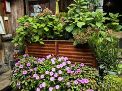 -龙姐私房菜(和顺古镇店)