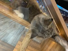 -卓美LAMDA戏剧演讲与培训中心(亚运村店)