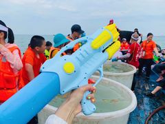 -中国闽台缘博物馆