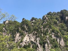 -王顺山国家森林公园