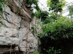 -北京植物园-展览温室