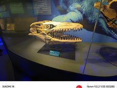 -国家自然博物馆