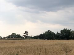 -白鹭湾湿地公园