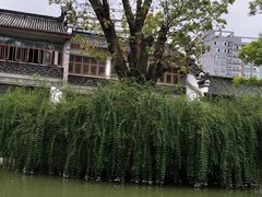 -龙潭水乡