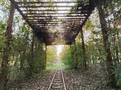 -合肥滨湖国家森林公园