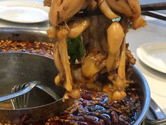 -蛙两只美蛙鱼头火锅(恒茂店)