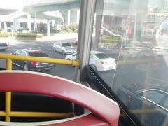 -BUS TOUR观光巴士