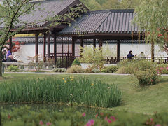 -和平公园