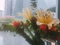 -凤凰湘语·湘粤鲜融(浦东旗舰店)