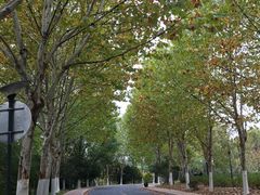 -四里河滨水生态公园