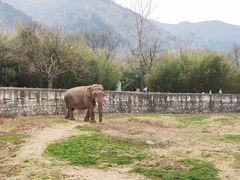 -西安秦岭野生动物园