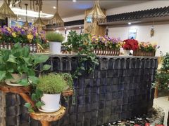-滇香肴·云南菜蒸汽石锅鱼(云南北路店)