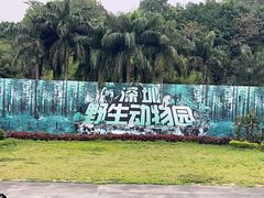 -深圳野生动物园
