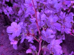 -西北湖绿化广场