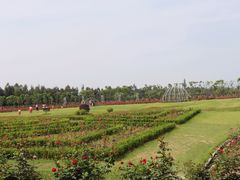 -漩门湾国家湿地公园