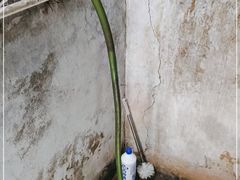 -昌记土制吊烧鸡(佛山市安信物流中心A座店)
