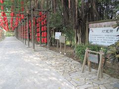 IMG_0628-茂德公草堂