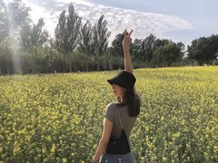 -长白岛森林公园