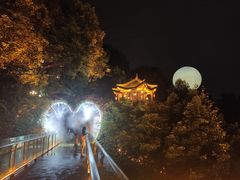 -巴倒烫陆派重庆火锅(南山店)