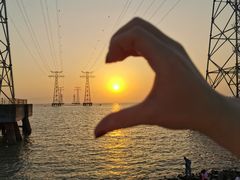 -宝安西湾红树林湿地公园