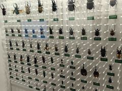 -国家自然博物馆