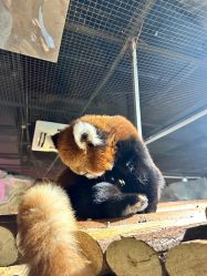 -Zoolung Zoolung动物主题公园(海信广场店)