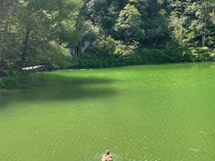 -仙店农庄(湖景农庄餐厅)