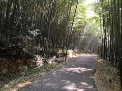 -苏州环秀晓筑养生度假村