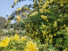 -国家植物园