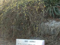 -丰台花园