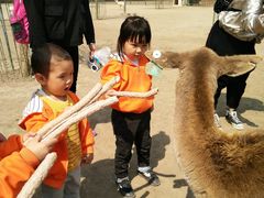 -北京麋鹿生态实验中心