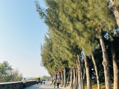 -宝安西湾红树林湿地公园