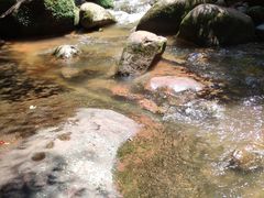 -赤水丹霞旅游区·佛光岩