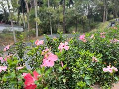 -深圳国际园林花卉博览园