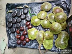 -龙谷湾旅游休闲度假区
