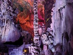 -大奇山国家森林公园