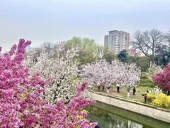 -元大都城垣遗址公园