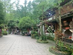 -青城甲(青城山店)