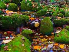 -丹东天桥沟景区