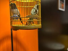 -了凡国风主题茶馆·咖啡(武侯祠锦里店)