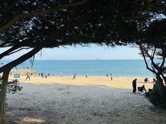 -椰风寨