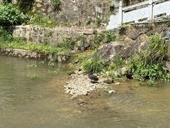 -平江沱龙峡漂流