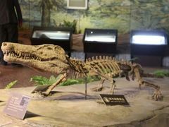 -自贡恐龙博物馆
