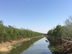 -东郊湿地公园