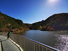 -仙居谷风景区