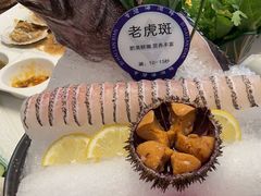 -东海怡品海鲜豆捞(舟宿夜江店)