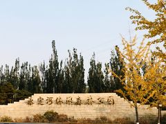 -永定河休闲森林公园