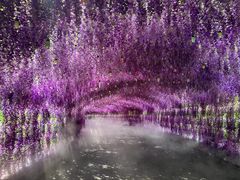 -天津方特欢乐世界